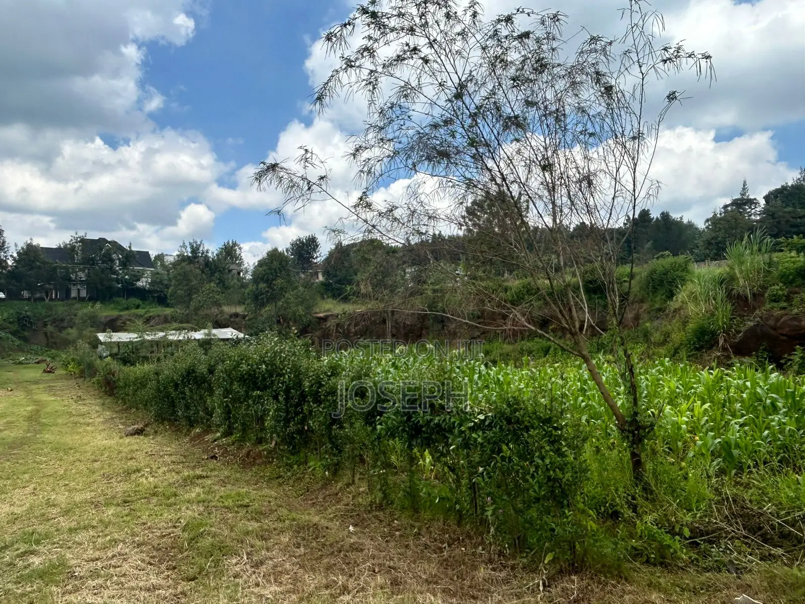 Kerarapon 1/4acre Plots for Sale