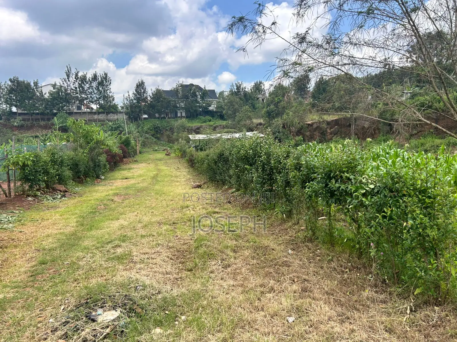 Kerarapon 1/4acre Plots for Sale