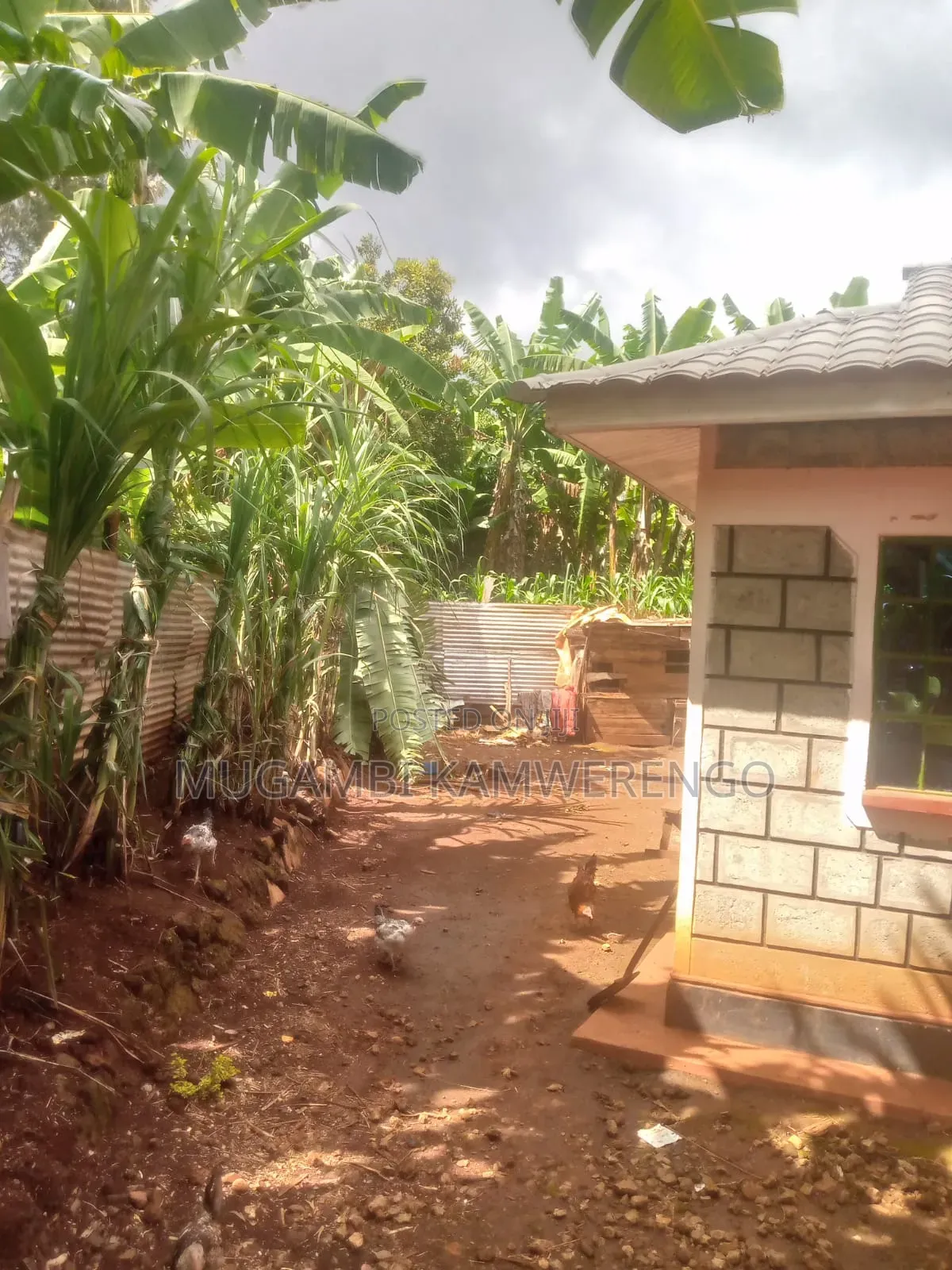 Furnished 2bdrm Bungalow in Toward Kithimu, Gaturi South for sale