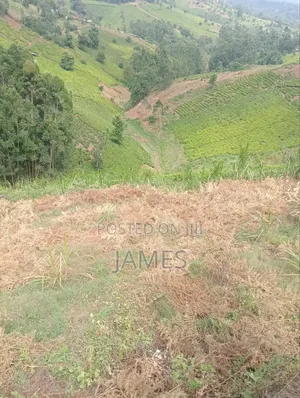 Prime 7.5acers for Sale in Baguret Nanyuki