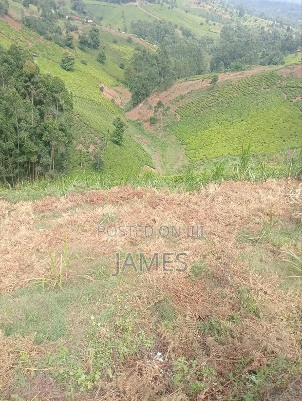 Prime 7.5acers for Sale in Baguret Nanyuki