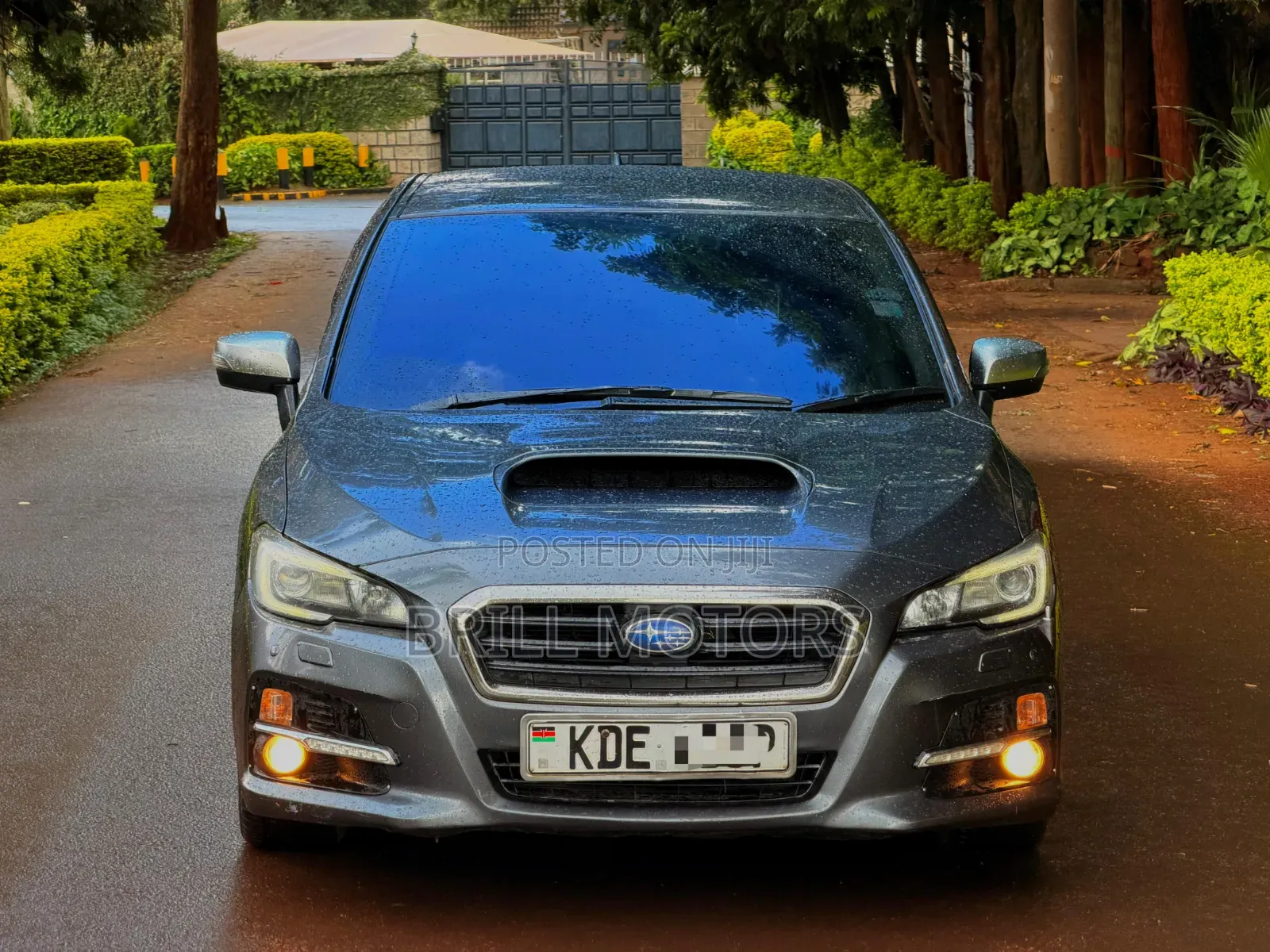 Subaru Levorg 2014 Gray