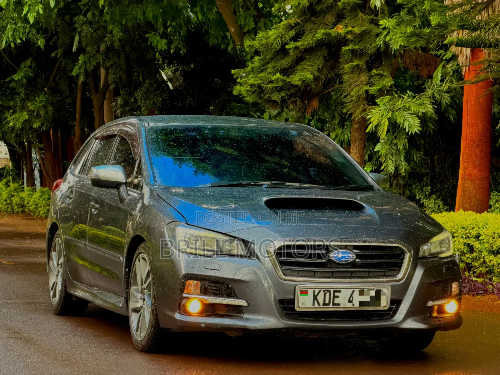 Subaru Levorg 2014 Gray