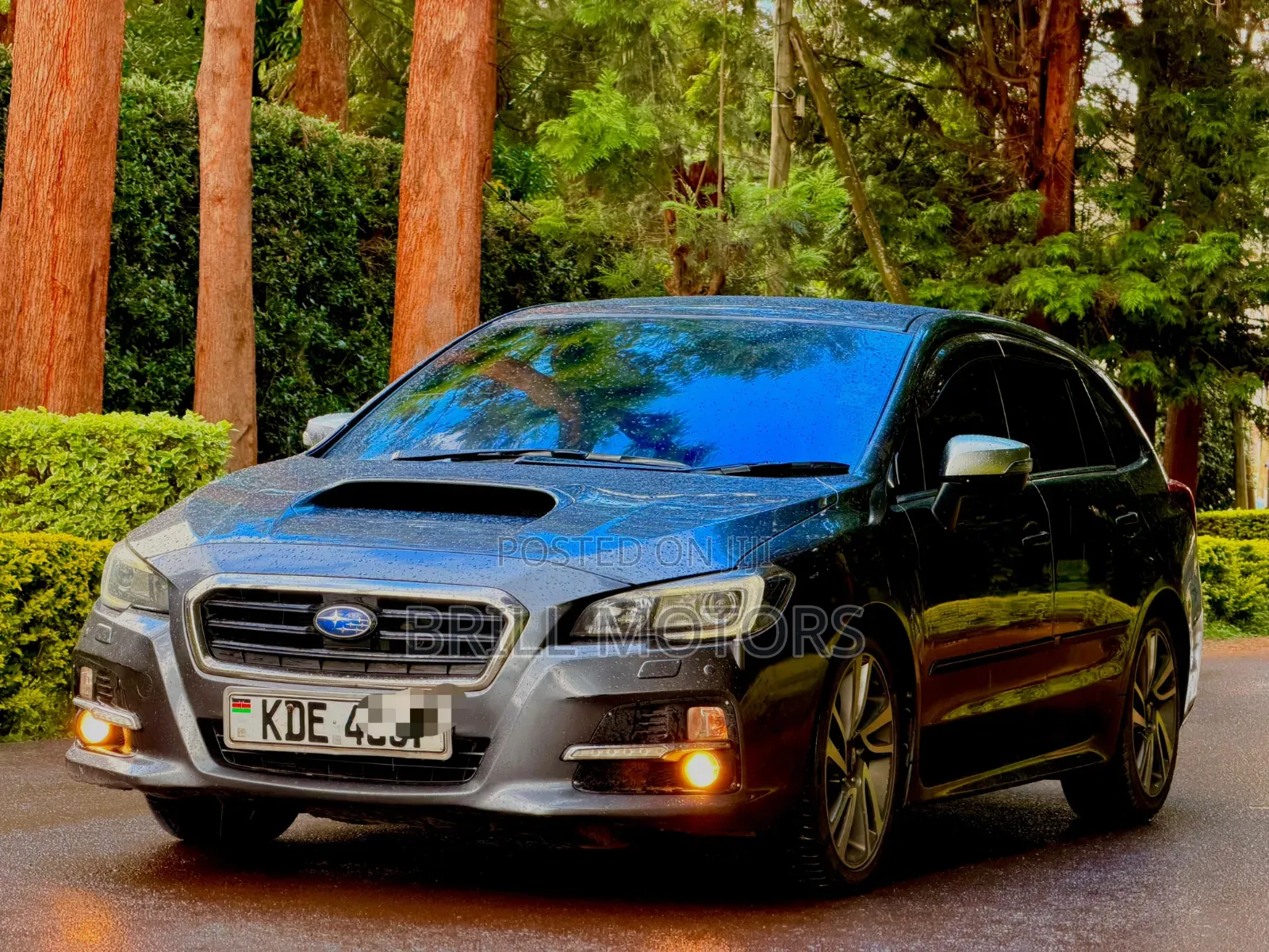 Subaru Levorg 2014 Gray