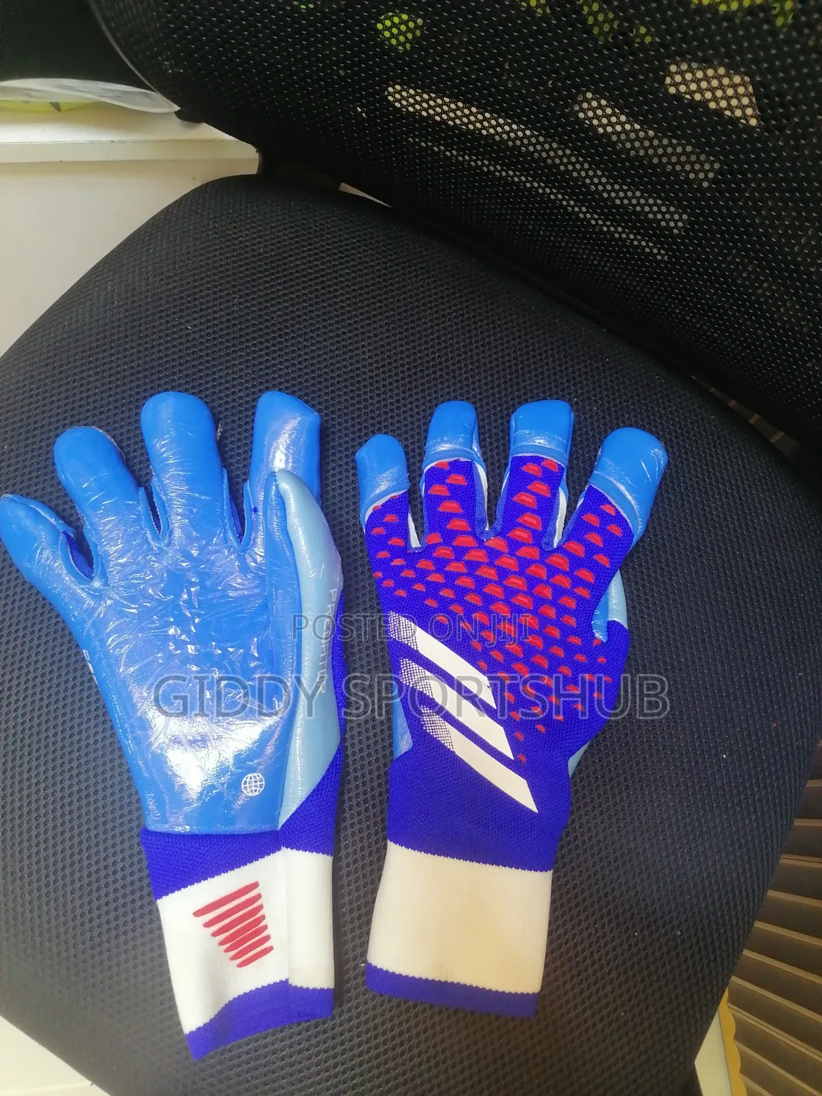 "The Blue Beast" Predator Elite G. K Gloves