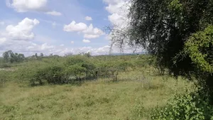 Prime Plots for Sale in Mavoko,Machakos