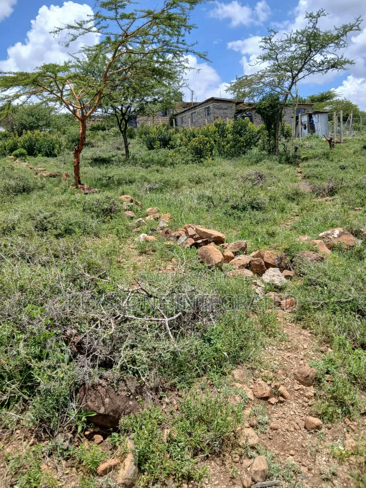Prime Plot for Sale in Kisamis,Kajiado
