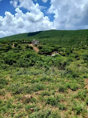 Prime Plot for Sale in Kisamis,Kajiado