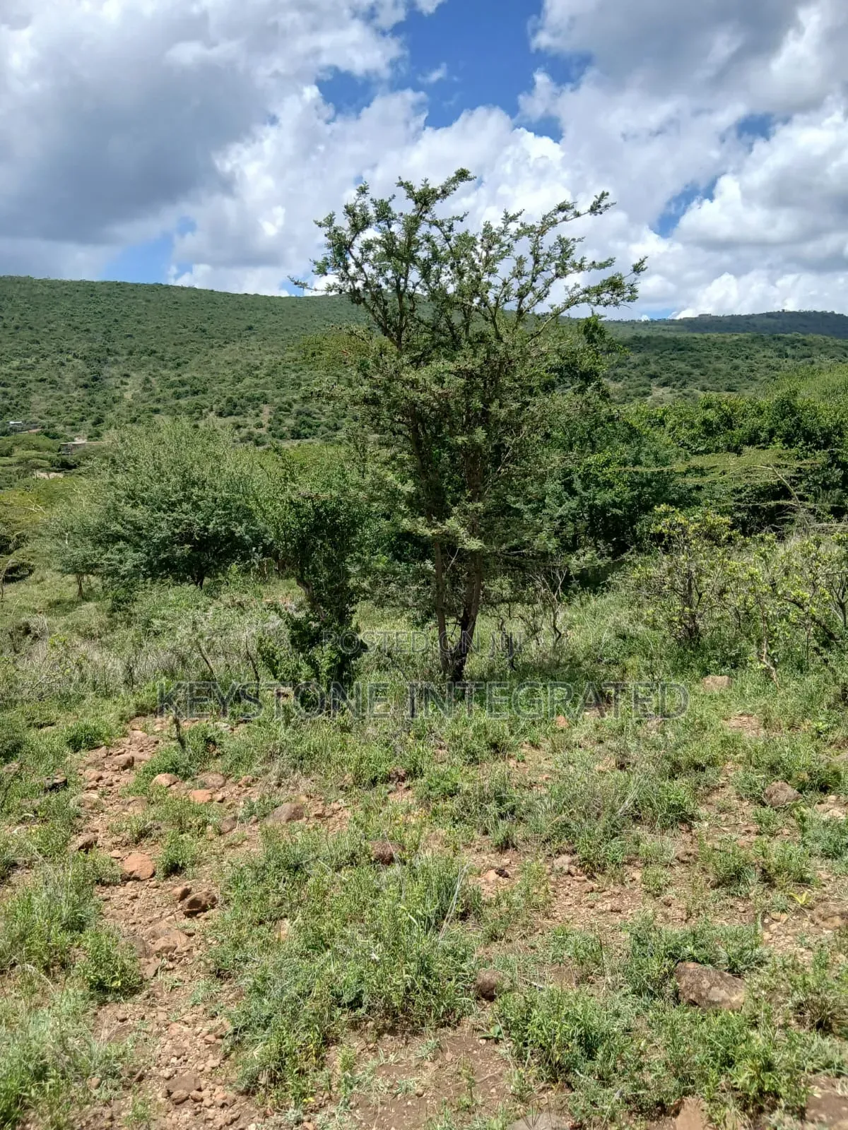Prime Plot for Sale in Kisamis,Kajiado