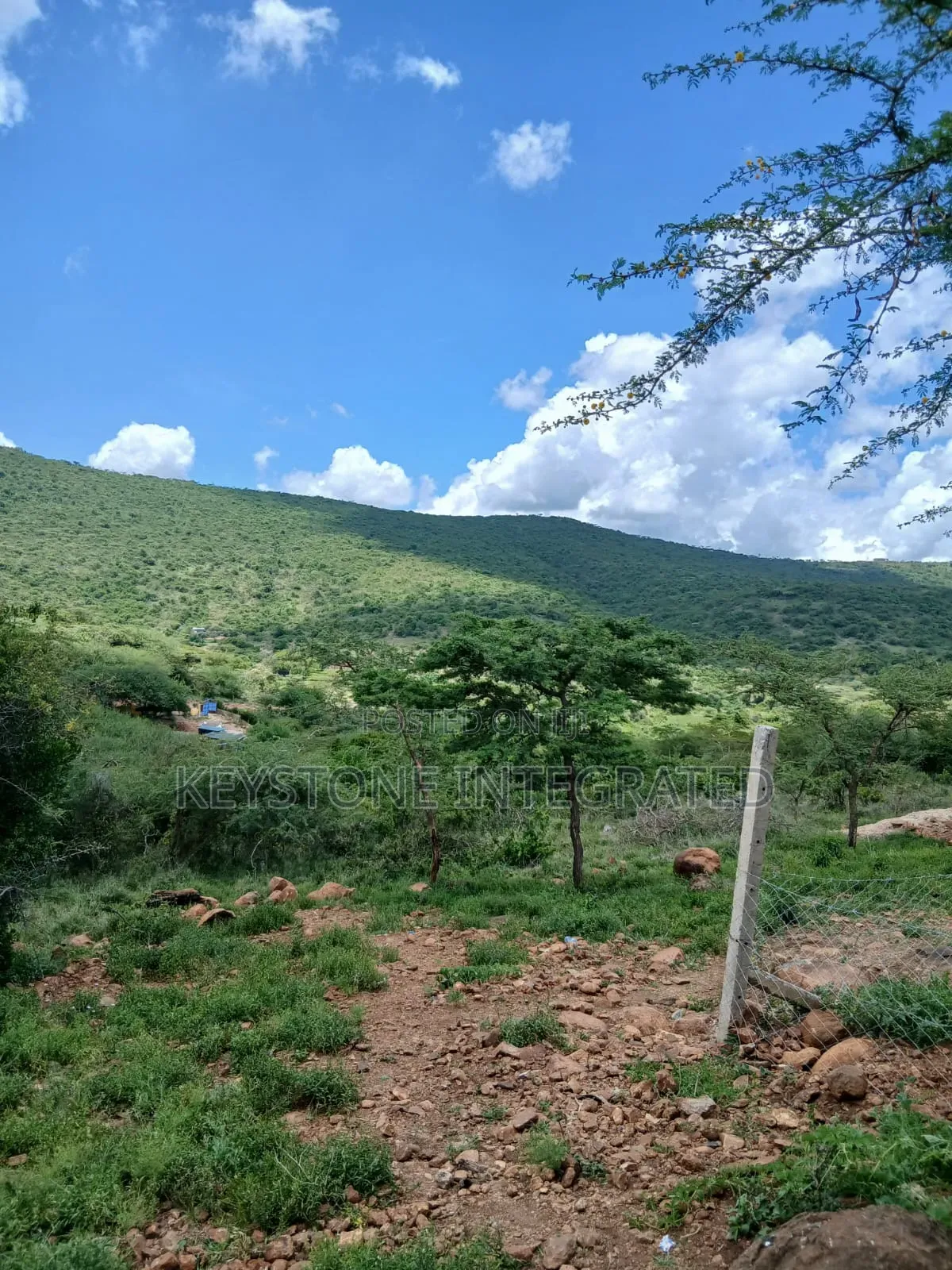 Prime Plot for Sale in Kisamis,Kajiado