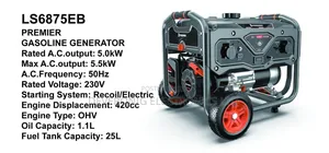 Premier Gasoline Generator 5.5kw Ac Power Output