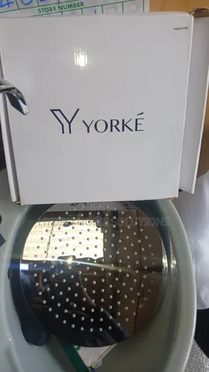 Pure Quality Silver Shower Head