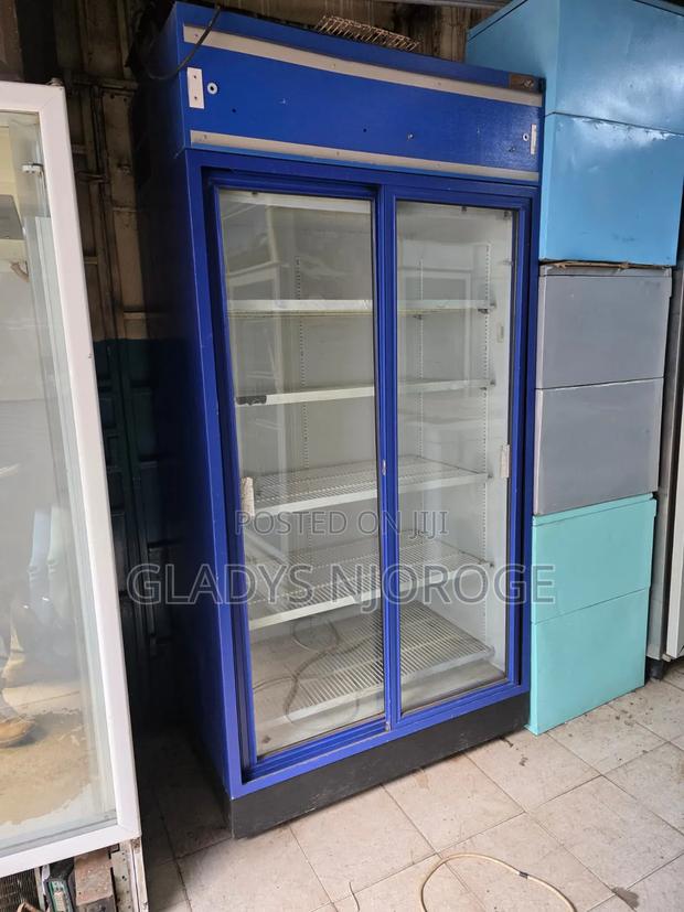 Blue Double Door Chiller - main view