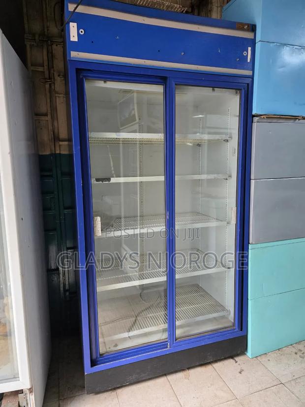Blue Double Door Chiller - thumbnail 2