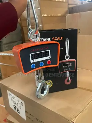 500kg Digital Crane Scale