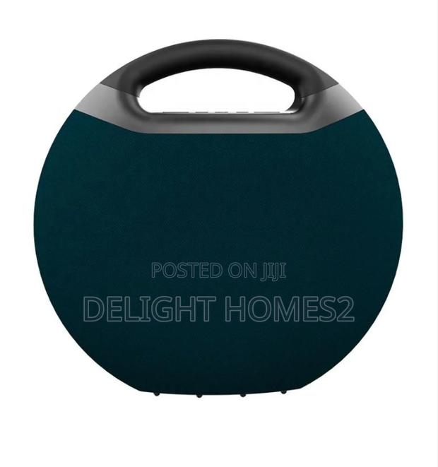 Portable Bluetooth Speaker_dav