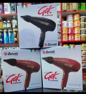 Ceriotti Gek 3800 Professional-Grade Hair Dryer