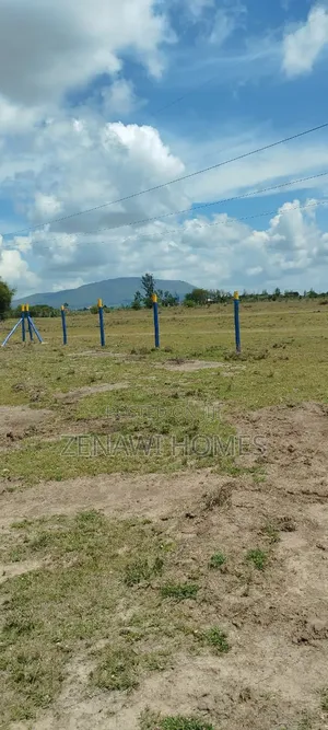 Prime 50x100 Plots for Sale in Malaa – Ready Title Deeds