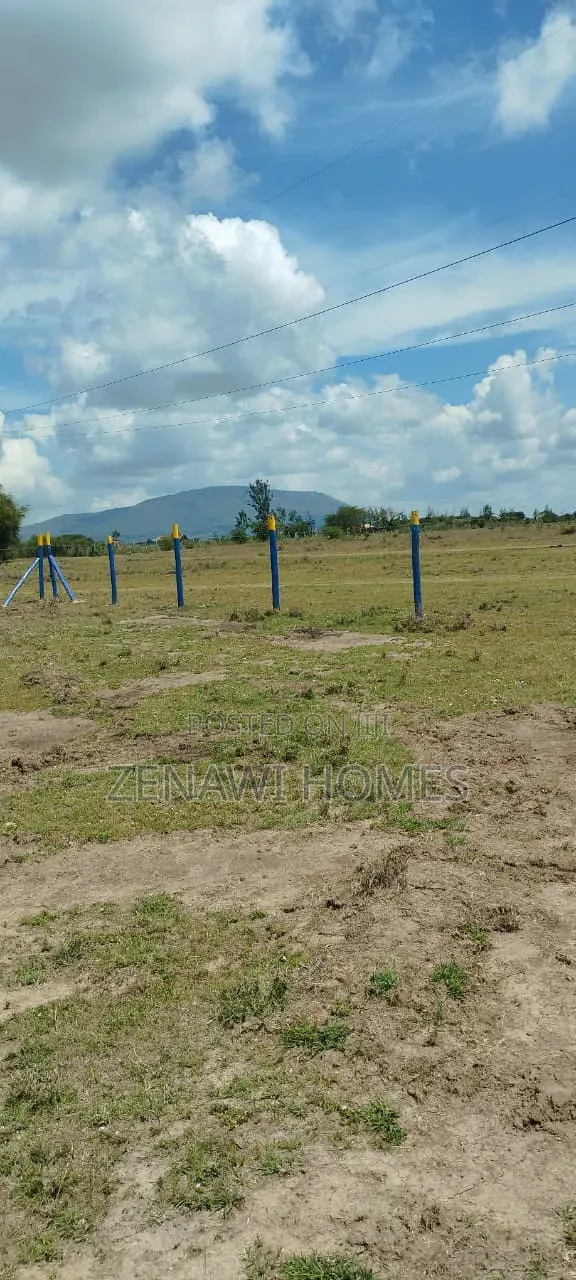 Prime 50x100 Plots for Sale in Malaa – Ready Title Deeds