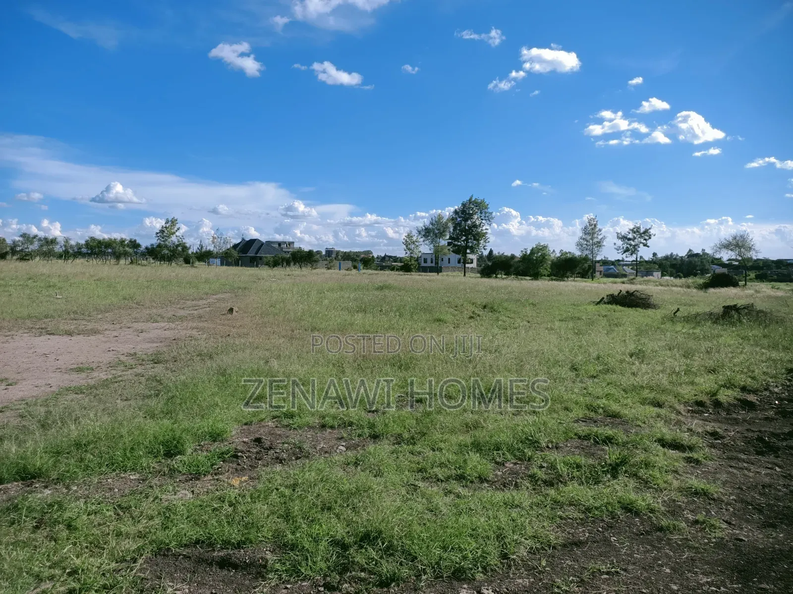 Prime 50x100 Plots for Sale in Malaa – Ready Title Deeds