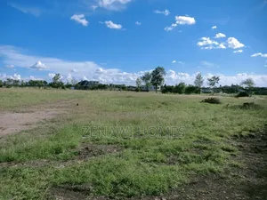 Prime 50x100 Plots for Sale in Malaa – Ready Title Deeds