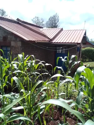 1⁄2 Acre Land for Sale at Kenol Kimorori With a 3 Bedroomed Bungalow