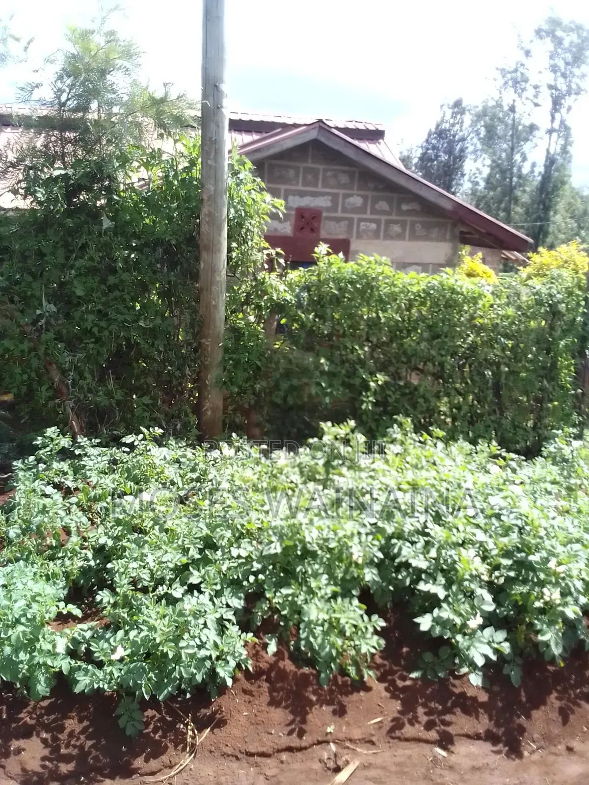 1⁄2 Acre Land for Sale at Kenol Kimorori With a 3 Bedroomed Bungalow