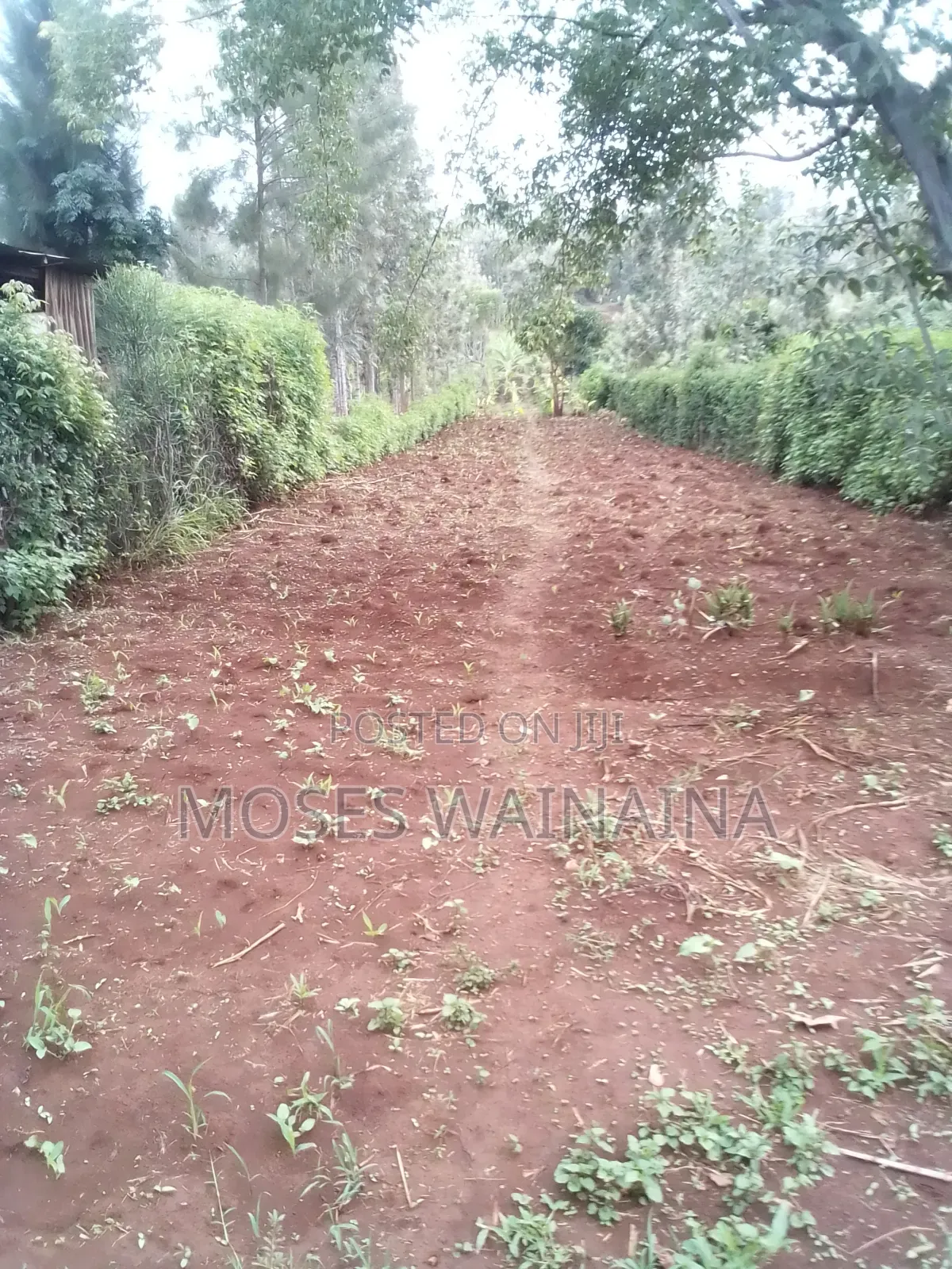 1⁄2 Acre Land for Sale at Kenol Kimorori With a 3 Bedroomed Bungalow