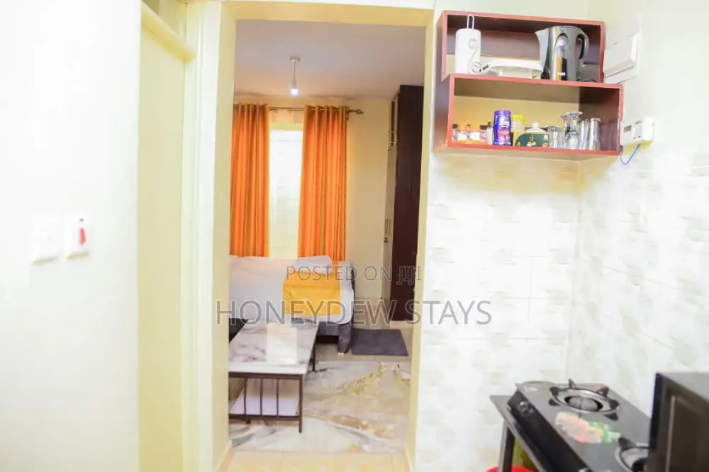 Executive Studio in Kitengela Town Along Balozi Road