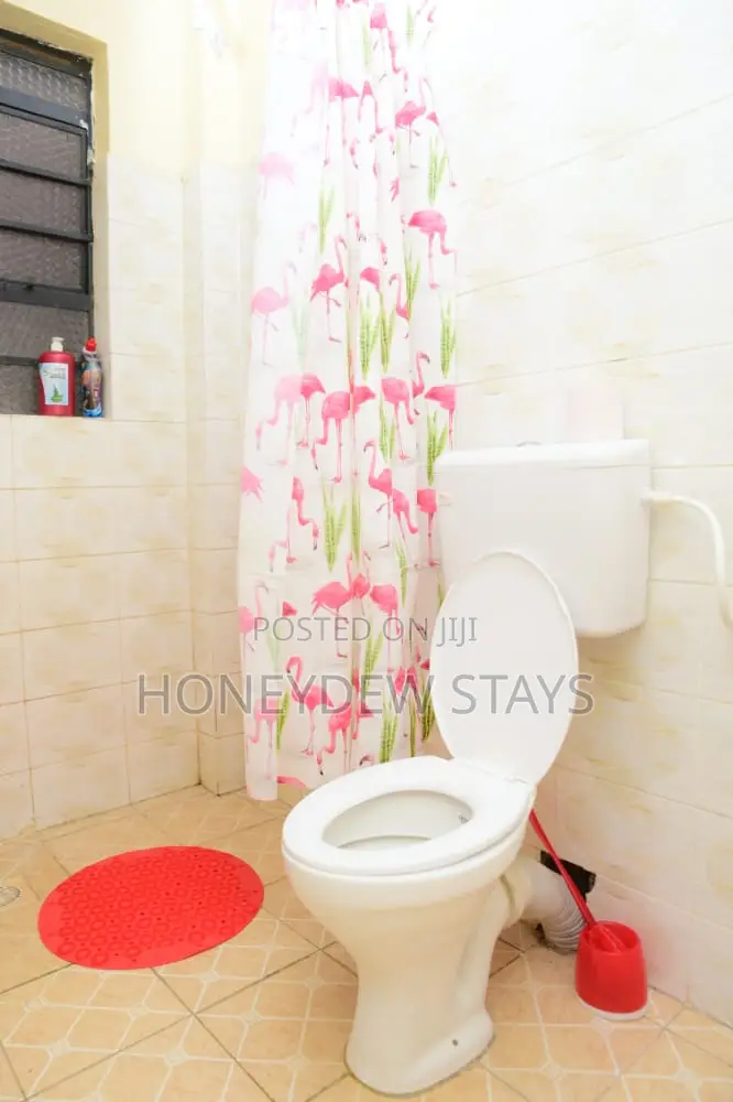 Executive Studio in Kitengela Town Along Balozi Road