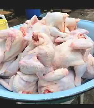 Chicks for Sale