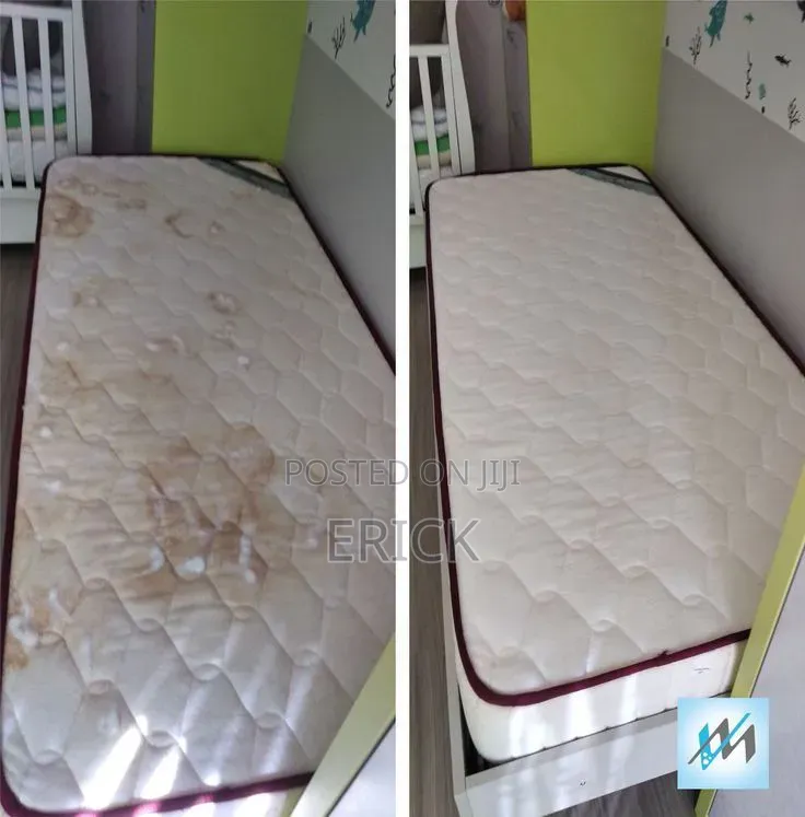 Mombasa-Kilifi- Professional Cleaners