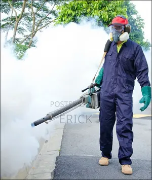 Mombasa-Kilifi- Professional Cleaners
