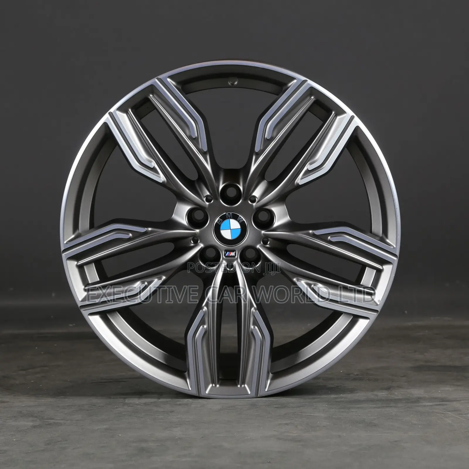BMW 20-Inch Alloy Rims