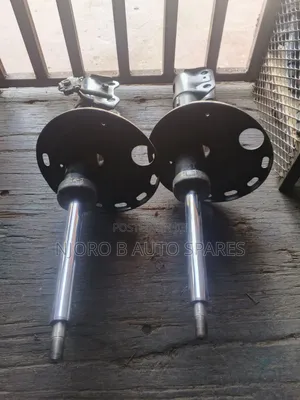 Vanguard/Rav4, Shock Absorber
