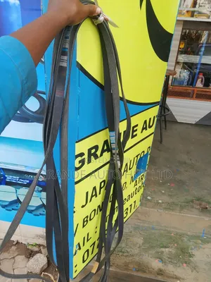 Fan Belt 6pk2500 Hyundai Santa Fe 2010 Diesel