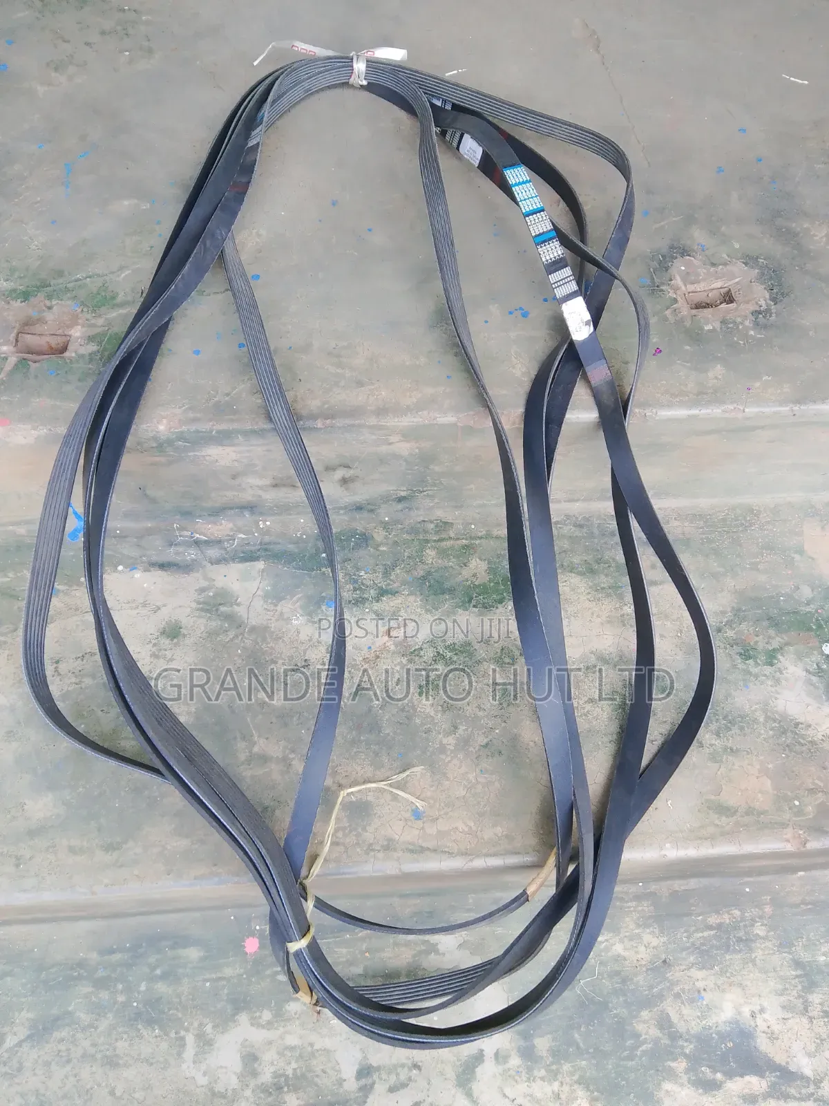 Fan Belt 6pk2500 Hyundai Santa Fe 2010 Diesel