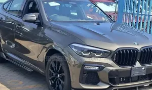 BMW X6 2020 Gray