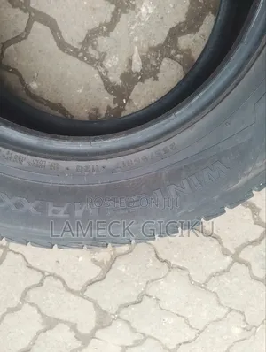 Wintermaxx Tires