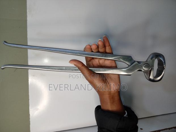 Long Stainless Nipper - Hoof - main view