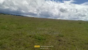 20acres Matanya Weruini Nanyuki Laikipia.