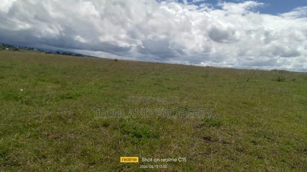 20acres Matanya Weruini Nanyuki Laikipia.