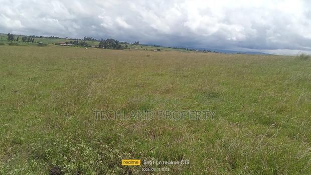 16acres Solio Lamuria Laikipia County.
