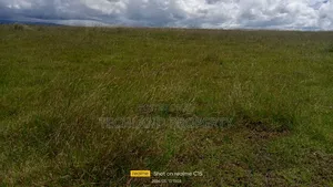 16acres Solio Lamuria Laikipia County.
