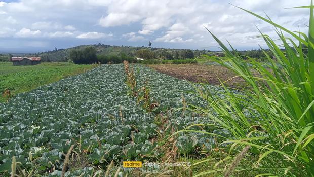 136acre Kiawara Kieni Nyeri.