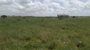 Exclusive Plots in Viraj Syokimau