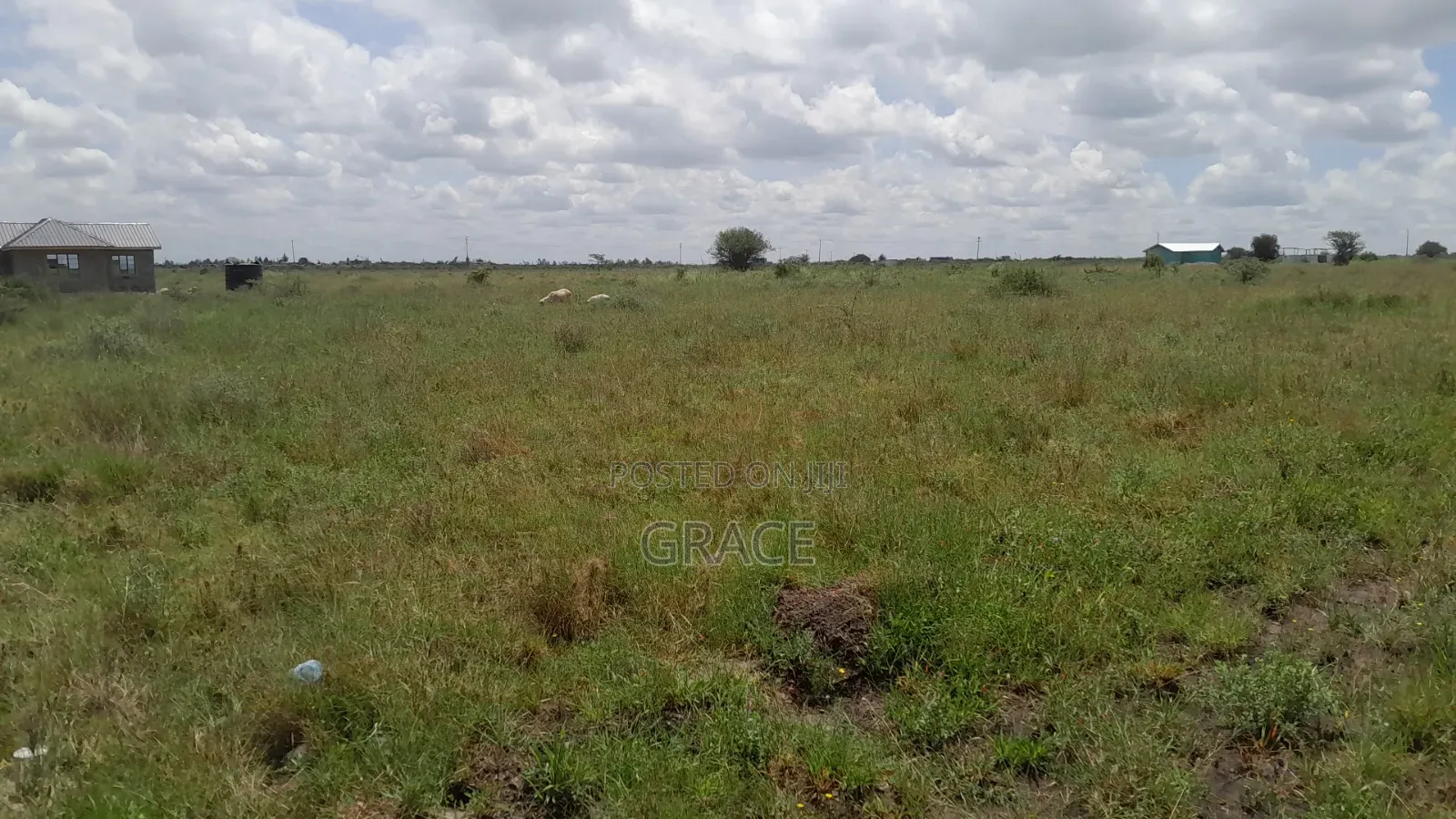 Exclusive Plots in Viraj Syokimau