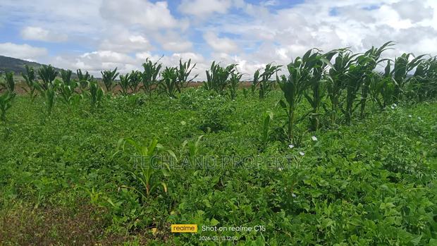 24acres Endarasha Kieni Nyeri