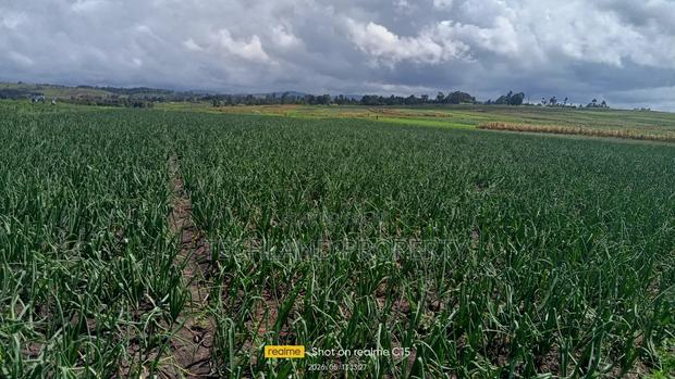 24acres Endarasha Kieni Nyeri - thumbnail 2
