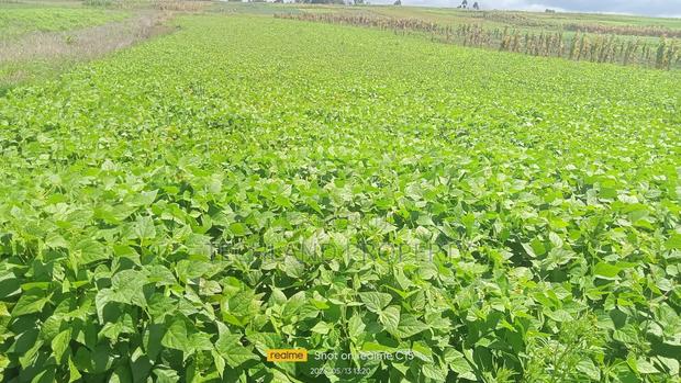 24acres Endarasha Kieni Nyeri - thumbnail 3